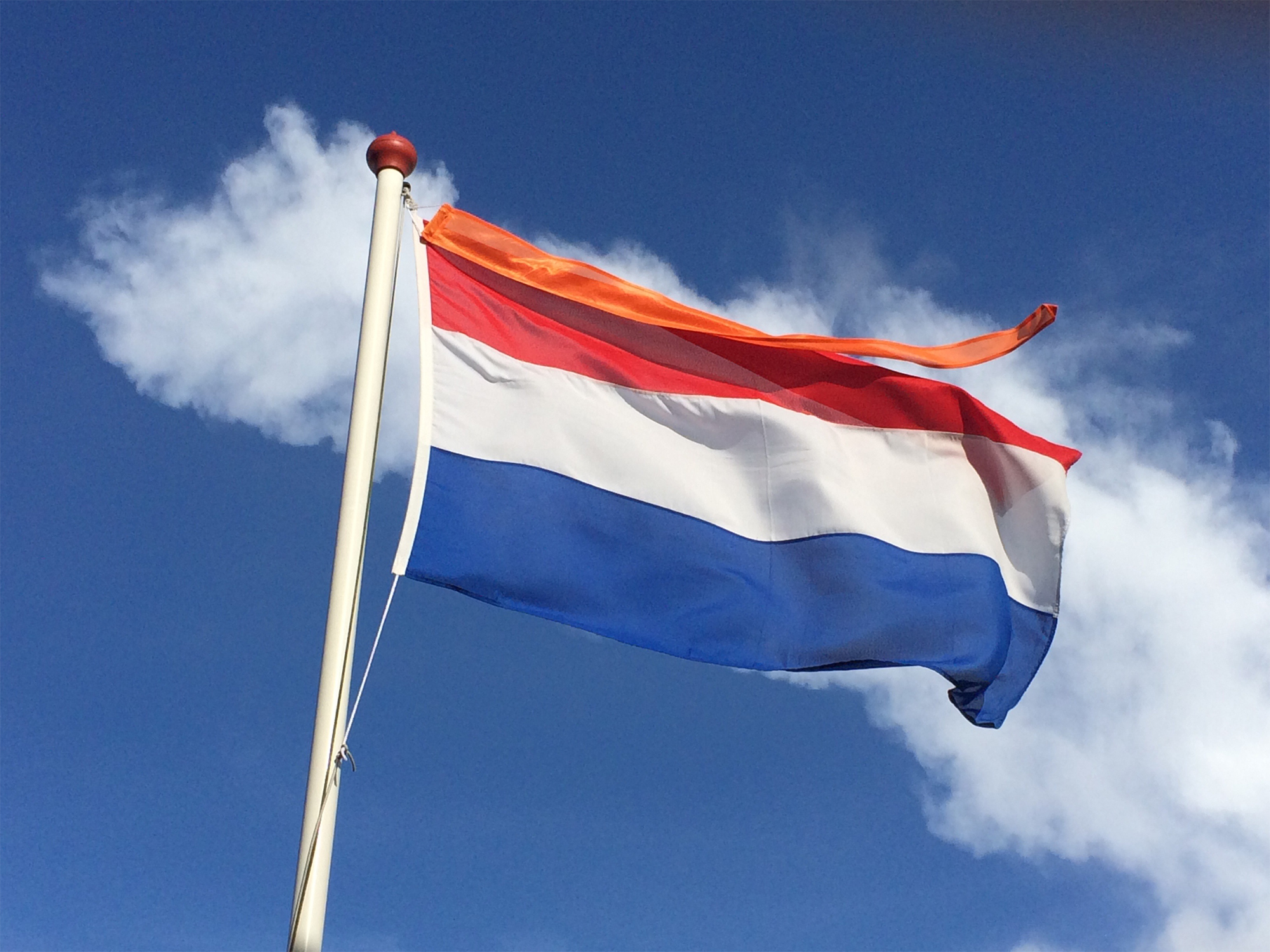 Vlag en wimpel